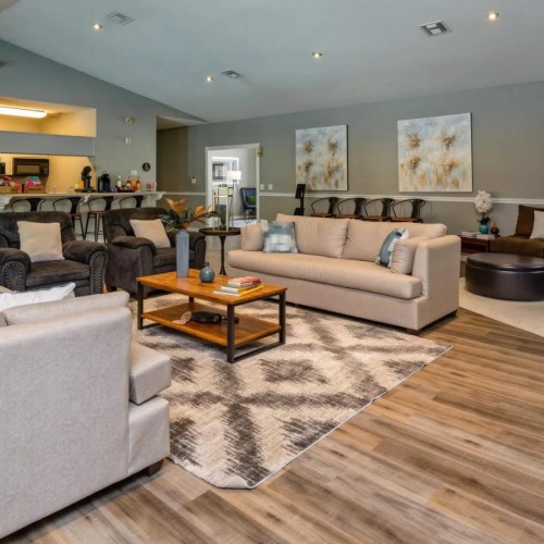 a living room with a large rug